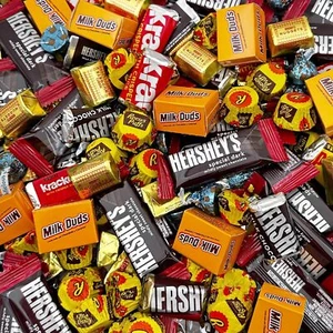Chocolate Candy Variety Pack - 3 Pound Bag (About 140 Pieces) - Picture 1 of 6