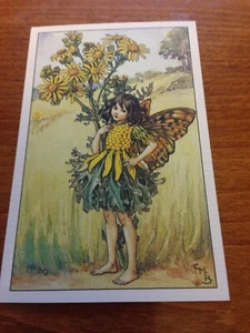 Cicely Mary Barker Flower Fairy Postcard - Ragwort Fairy - NEW - Picture 1 of 1