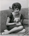 Joan Collins mit Hund „Candy“. Orig. Presse-Photo von 1958
