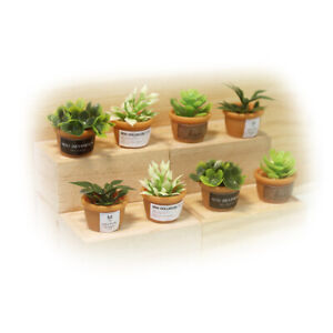 Dollhouse 8Pcs Set Plant Bonsai Miniature Decor Pot Plants Accessories