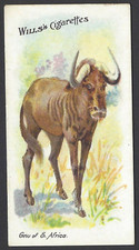 WILLS (AUS) - WILD ANIMALS OF THE WORLD - #8 GNU