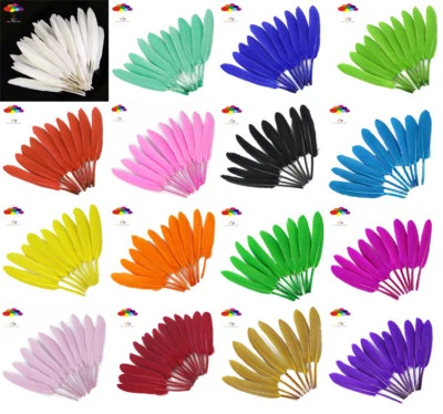 DIY 14 Colors Natural Goose Feather 4-6 Inch /10-15 Cm 100 Pcs Carnival Headress - Image 1 of 4