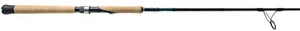 Shimano TERAMAR XX SE SPINNING, Saltwater, Inshore, Spinning, 7'0", Heavy, 1 ... - Picture 1 of 4
