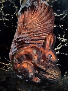 Christopher Radko Squirrel & Nut Glass🎄 Christmas Ornament 🎄Bronze w/Glitter👌 - Picture 1 of 5