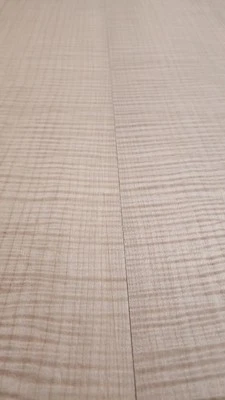 Arce Fiddleback llama acústica con lados #1008 L.24" W.17&7/8" T. 7/8" Foto 1 de 4