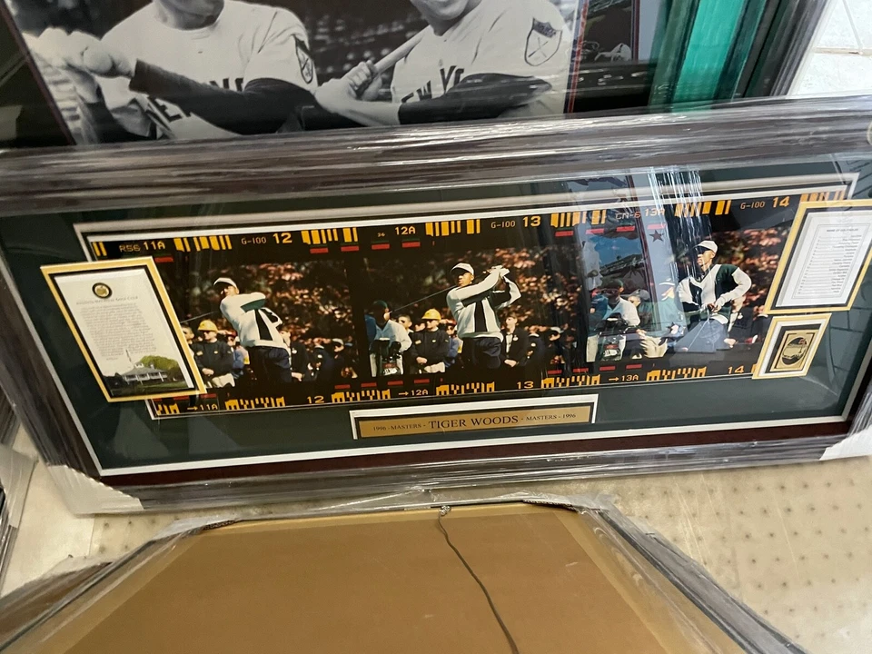 Masters Champion 1996 - cuadro T. Woods Foto 1 de 1