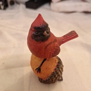 ¡PÁJARO CARDINAL DE RESINA EN UNA NUEZ DE BELLOTA! ¡CUIDADOR DE ESTANTE! 3,25 X 2,25 pulgadas - Imagen 1 de 5