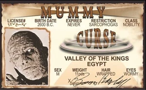 Mummy Drivers License 3.4” X  2.2” Laminated ID Card. - Picture 1 of 2