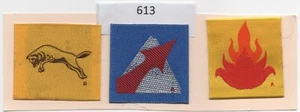 Badges scouts Mexico - Insignias Scout Mexico # 613.2 - Imagen 1 de 1