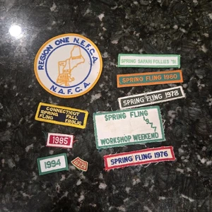 Lotto Patch NAFCA Famiglia Associazione Camper Lotto 1 Primavera Fling Safari Workshop NE - Foto 1 di 9