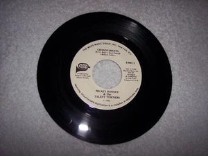 45--MICKEY ROONEY & THE TALENT TOWNERS--GRANDPARENTS / COMPANIONSHIP #2803 - Picture 1 of 2