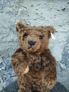 Vtg Steiff toy Bear LED of 1847 pcs. #00492 curly hair Germany Jointed Humped - Picture 1 of 8