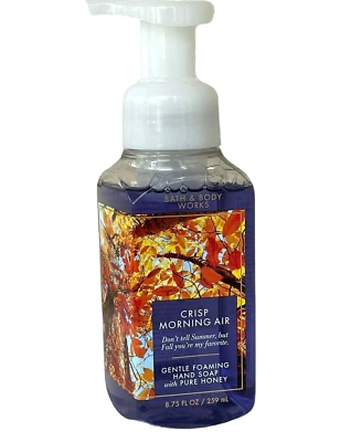 Bath & Body Works 8,75 oz Fresh Morning Air espuma lavado de manos NUEVO Foto 1 de 4