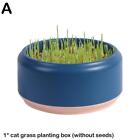 1* Cat Snack Cat Mint Planting Hydroponic Box Cat Grass Cat Uk Box Grass Q1l8