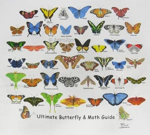 ULTIMATE BUTTERFLY GUIDE-Polilla Monarca Luna Insectos Insectos Naturaleza Niños Camiseta Talla M - Imagen 1 de 2