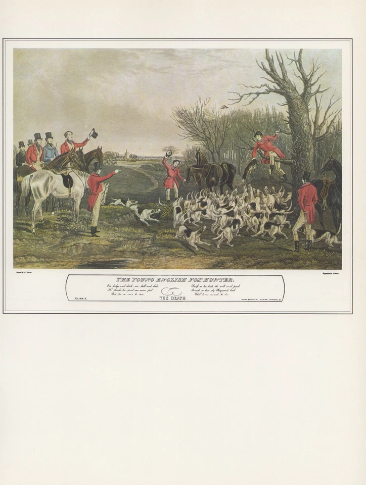 1974 Vintage Caza "El joven cazador de zorros inglés" Color Impresión Artística Litografía Foto 1 de 1