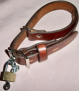 The Asylum Handfessel von Blaine Harris Zaubertrick Illusion Flucht - Bild 1 von 3