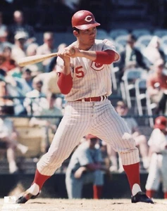 Johnny Bench Cincinnati Reds 8x10 Photo - Picture 1 of 1