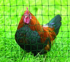 Geflügelnetz Hundezaun grün - Höhe 105cm, Wählbare Längen: 15m, 25m oder 50m - Bild 1 von 4