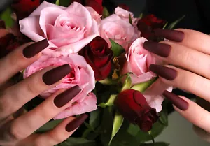Künstliche Nägel 24p - Weinrot Ballerina - zum aufkleben press on nails klebepad - Bild 1 von 9