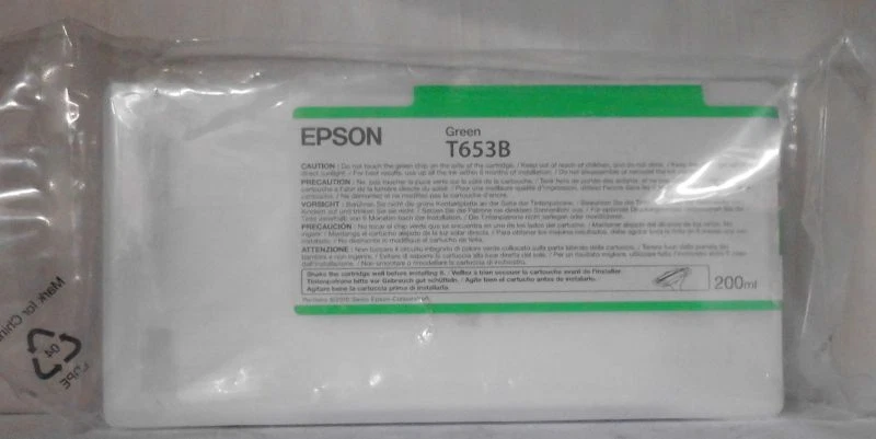 Original Epson T653B Tinte green für Stylus Pro 4900 C13T653B00 2013 ohne OVP - Bild 1 von 1