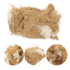 Bird Nesting Fiber for Small Animals & Replacement Liners
