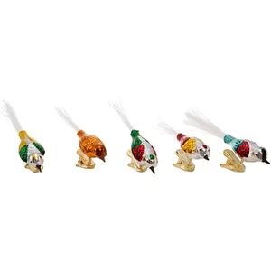 Juego de 5 adornos con clip para pájaros de vidrio de los primeros años C1929 NUEVO (no vintage) - Imagen 1 de 8