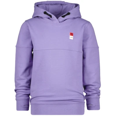 VINGINO Jungen Sweatshirt B-BASIC-SWEAT-HOODY grape purple Gr.128-176