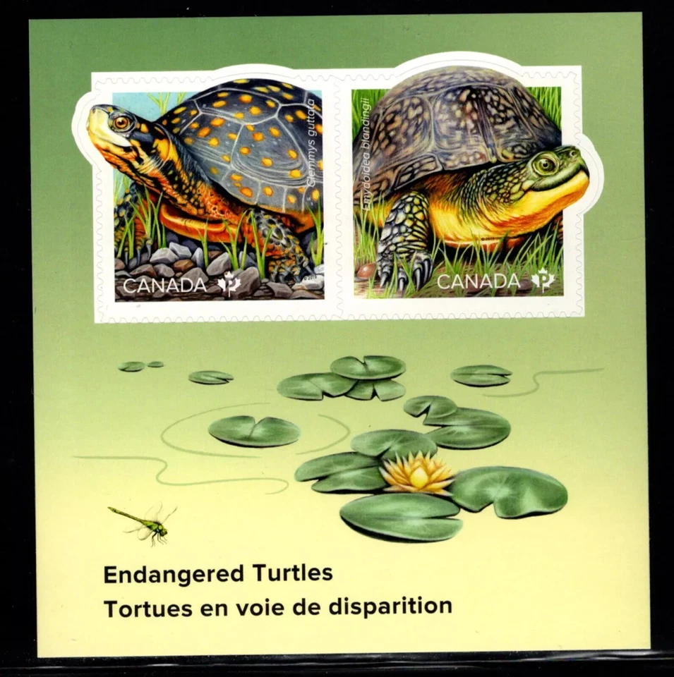 Canada - Scott 3179 - Souvenir Sheet - Endangered Turtles - 2019 - Image 1 of 1