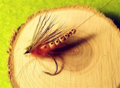  Maifliegen Rehhaar Extended Body Gr.14/12 Trockenfliege Qualität Fliegenfischen - Bild 1 von 3