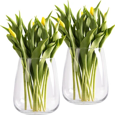 2er Set XL Tischvase große Glasvase für Pampasgras Trockenblumen Tulpen Rosen - Bild 1 von 4