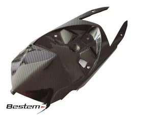 2015-2018 BMW S1000RR S1000R 100% Full Carbon TWILL Undertail Tail Cowl - Picture 1 of 7