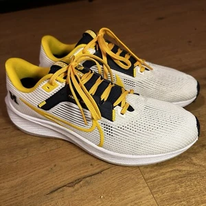 Nike Zoom Pegasus 40 Michigan Wolverines Shoes Size 10 DZ6001-100 Go Blue - Picture 1 of 8