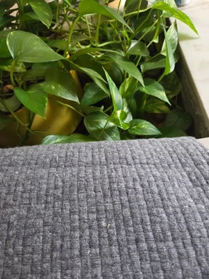 "Manta gris mezcla lana cachemir A&R talla 55"" x 64""" Foto 1 de 4