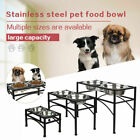 Raised Dog Bowls Elevated Cat Feeder With 2 Stainless Steel Bowls For Water/Food