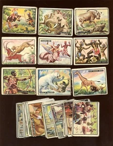 1950 Topps Bring Em Back Alive Card Lot 39 Different - Picture 1 of 1