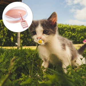 Mit Kapuze Wurf Box Katzenstreu Box Mit Deckel Katzenstreu Box Möbel - Bild 1 von 12