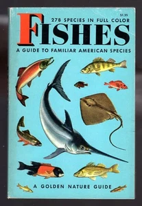 Golden Nature Guide FISHES 278 Species Illustrated 1955 "V" Printing PB Vintage - Picture 1 of 2