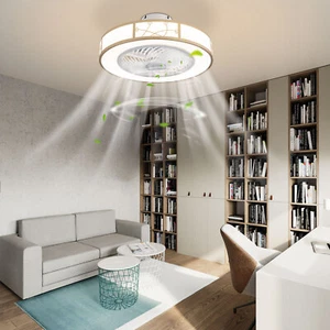 20inch Caged Low Profile Ceiling Fans W/Light, Flush Mount Farmhouse Fandelier - Picture 1 of 22