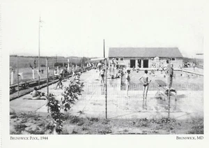 *MD Postcard-"The Brunswick Pool, 1944" (Cummins Drive) *Brunswick MD {C13}- - Picture 1 of 2