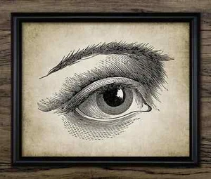 Menschliches Auge Druck, Vintage Künstler Augenzeichnung, Augenanatomie, Humanbiologie Wandbild - Bild 1 von 1