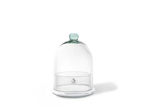Cloche Glass Dome Jar Bell Closed Terrarium Vase Decorative Stand Display - Picture 1 of 4