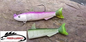 Predilures Demolitore Piombo Minnow 110mm 45g 6/0 Gancio Confezione Combo PG Relitto Pesca  - Foto 1 di 5