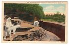 Cageless Polar Bear Pit in Forest Park Zoo St. Louis, MO Vtg Linen Postcard 1939