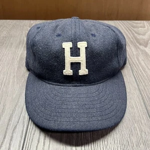 Ebbets Field Huckberry Hat Blue White Wool Flannel Baseball Fitted 7 1/2 - Picture 1 of 6