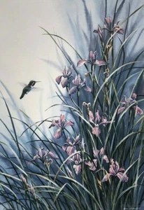 Susan Bourdet “ Wild Garden - Hummingbird “ Limited Edition Print Signed - Picture 1 of 6