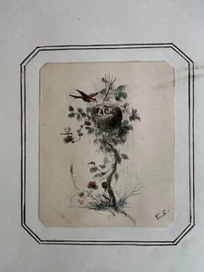 Antique Drawing Original 19th century Birds, Tree, Still Life - Picture 1 of 6