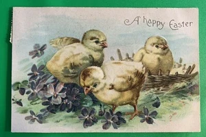 Chicks & Violets Flowers ~ Easter Postcard ~ Posted 1908 ~ Divided Back Embossed - Picture 1 of 2