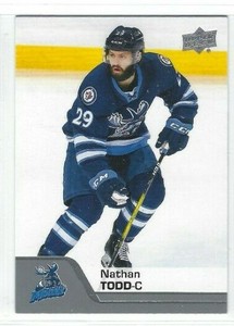 2020-21 Upper Deck AHL #2 Nathan Todd