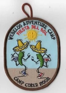 2002 Camp Coker Webelos Adventure Camp Pee Dee Area Council BRN Bdr - Picture 1 of 1
